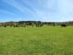 Obrázek 1