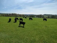 Obrázek 2